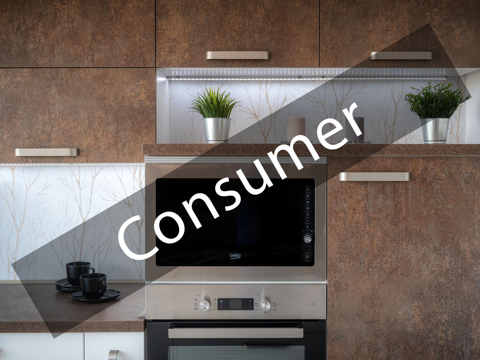 Consumer